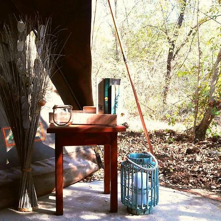 Beyond The Boma Boutique Guesthouse Marloth Park Extérieur photo