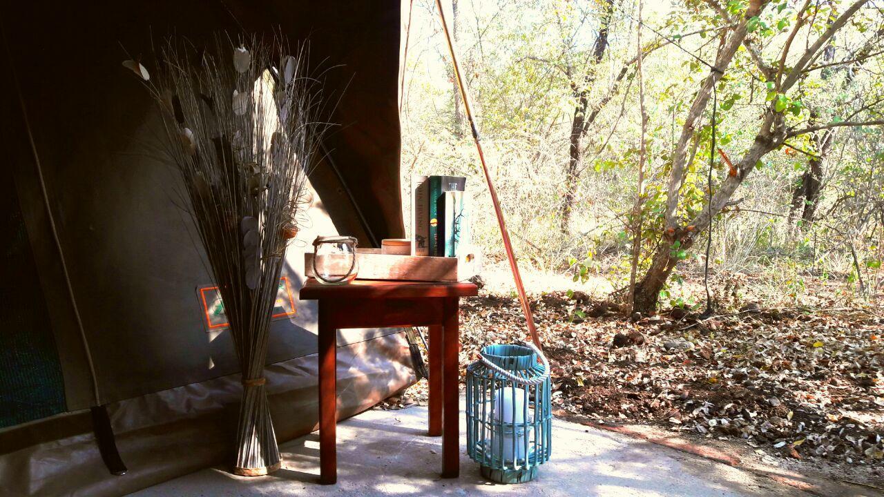 Beyond The Boma Boutique Guesthouse Marloth Park Extérieur photo