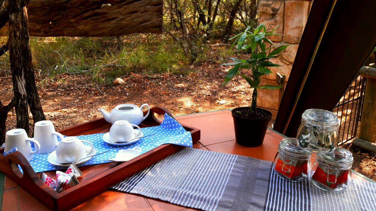 Beyond The Boma Boutique Guesthouse Marloth Park Extérieur photo