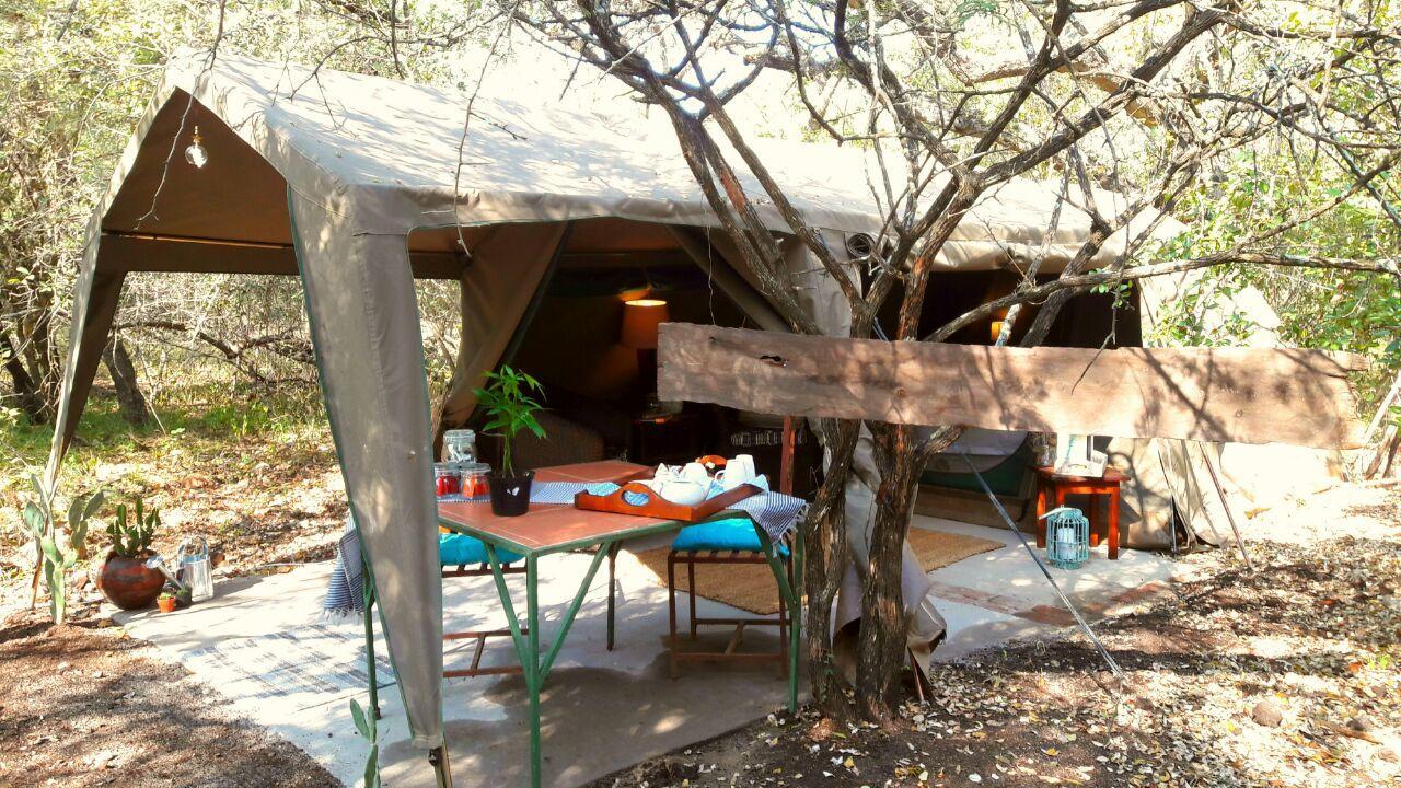Beyond The Boma Boutique Guesthouse Marloth Park Extérieur photo