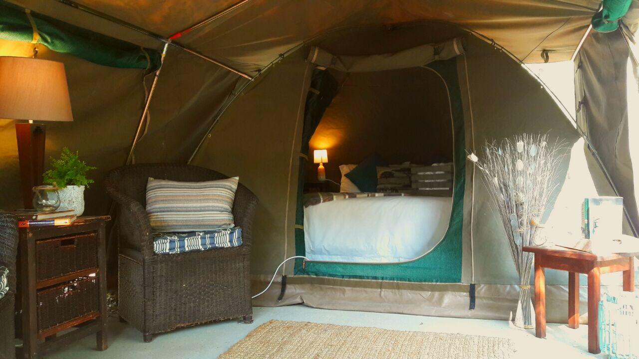 Beyond The Boma Boutique Guesthouse Marloth Park Extérieur photo